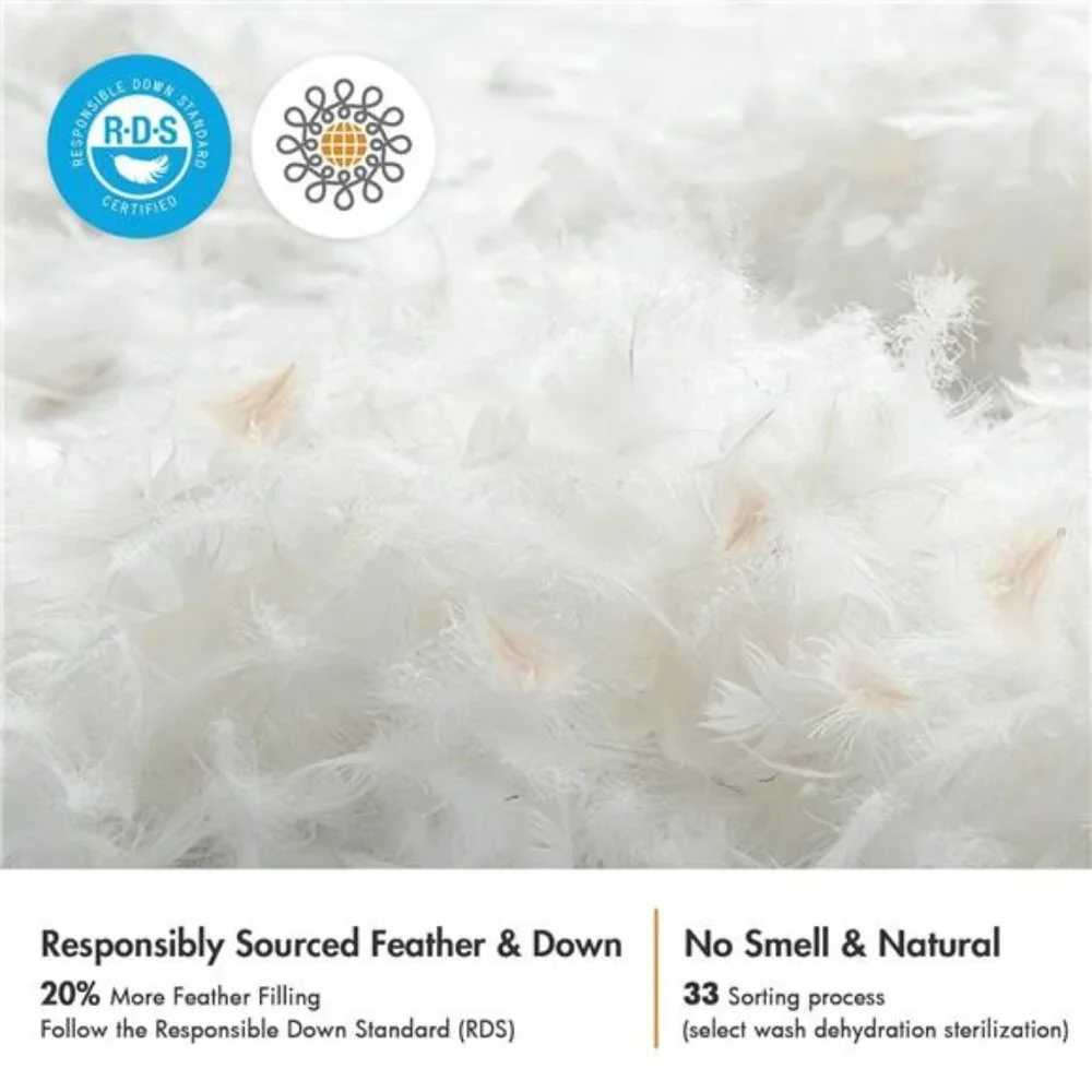 22x22 Pillow Inserts,Set of 2 Down Feather Throw Pillows for Couch Sofa